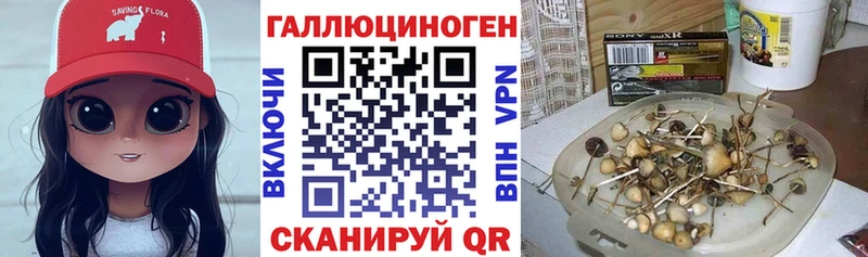магазин    Орск  hydra рабочий сайт  Галлюциногенные грибы Magic Shrooms 